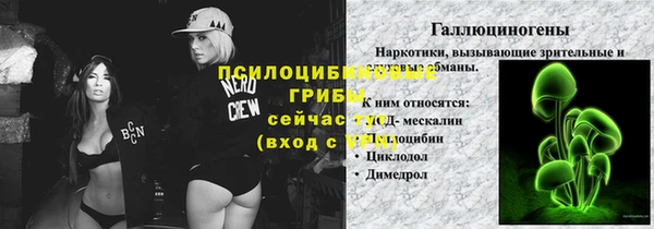 винт Арсеньев