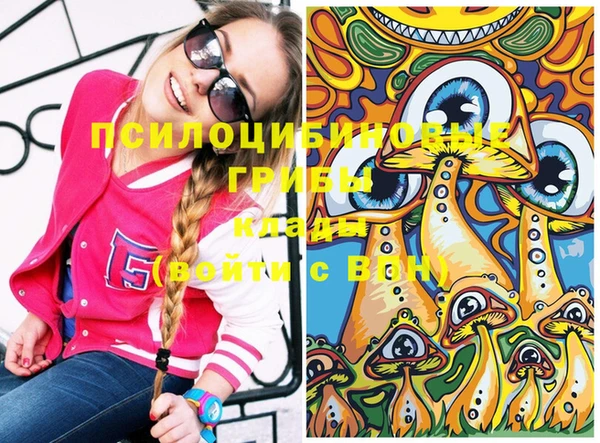 винт Арсеньев