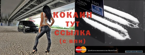 винт Арсеньев