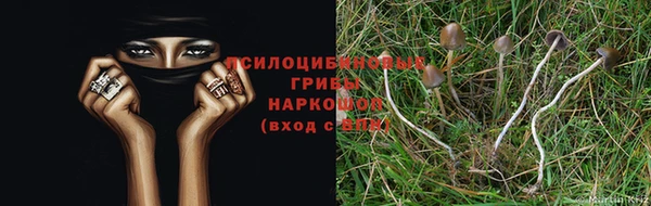 винт Арсеньев