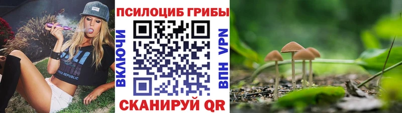 как найти маркетплейс формула Псилоцибиновые грибы GOLDEN TEACHER Славянск-на-Кубани